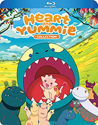 Heart and Yummie Limited Edition Collection